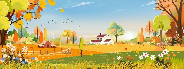 Vector Jesień panorama pole farmy z pomarańczowym niebem, Piękny zachód słońca w połowie jesieni widok panoramy wsi z żółtymi pomarańczowymi liśćmi, Jesień sezon z miejsca na kopiowanie baner tle - Wektor, obraz