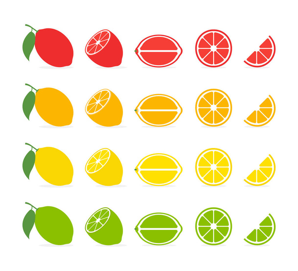 Κομμάτια εσπεριδοειδών. Διανυσματικό μεμονωμένο εικονίδιο. Τροπικά φρούτα απομονωμένα. Grapefruit πορτοκαλί λεμόνι lime διάνυσμα σχεδιασμό. Συλλογή εσπεριδοειδών που απομονώνονται σε λευκό φόντο. EPS 10 - Διάνυσμα, εικόνα
