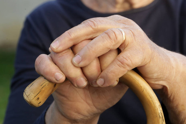 Elderly womans hands holding wooden walking stick - Foto, Bild