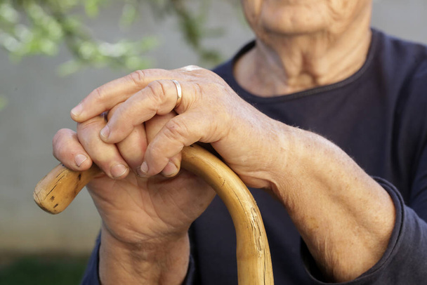 Elderly womans hands holding wooden walking stick - 写真・画像