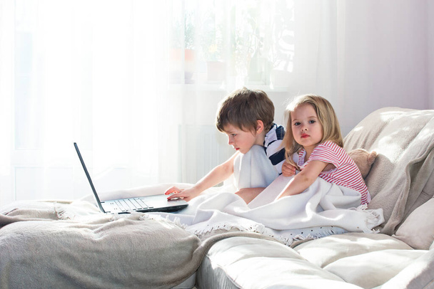 Brother and sister sit on the couch and watch online lessons on a laptop. - Фото, зображення
