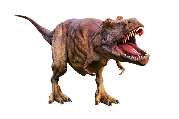 Dinosaurios Tyrannosaurus Rex Dinosaurio De Plástico Realis 