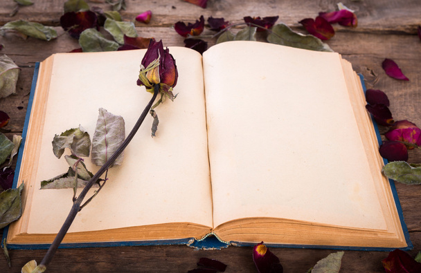 Vintage open book with dried rose - Foto, Imagen