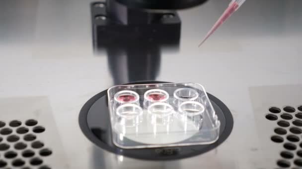 フィギュア研究室の操作のクローズアップ,その後の凍結のための特別な医療ツールに凍結保護剤から胚の移動.胚を取るためにピペットを使用して専門家。4 kビデオ - 映像、動画