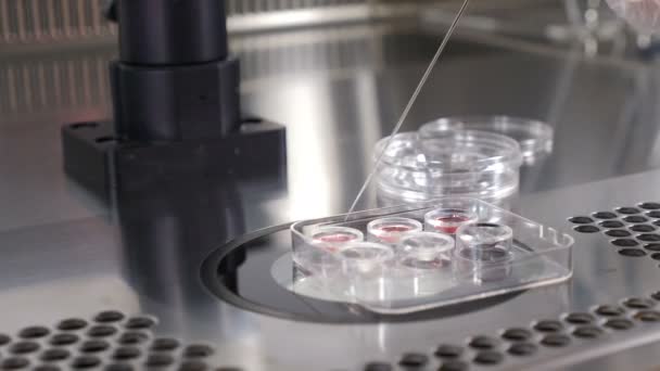 Az embriók fagyasztása a családtervezési klinika modern tudományos laboratóriumában. a laboratóriumi manipuláció során pipettát használó reprodukciós orvos. Az orvos a lombikból veszi ki a bioanyagot. 4 k - Felvétel, videó