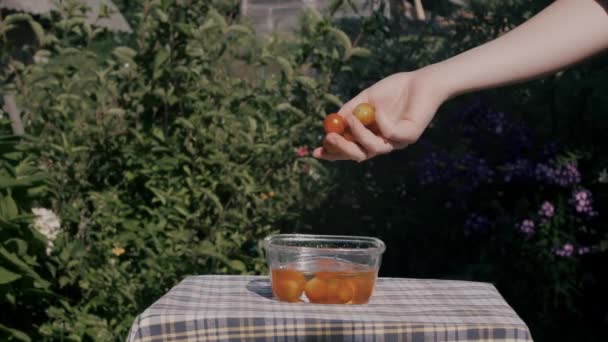 Een man neemt tomaten uit een container in slow motion die gevuld is met water - Video