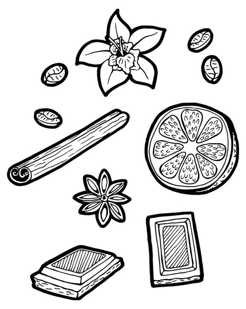 Additives for coffee. Spices and seasonings. Vanilla flower, pieces of chocolate, coffee beans, cinnamon stick, sliced piece of lemon. Hand drawn isolated illustration on a white background - Vector, Image