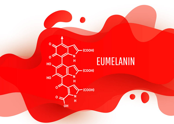 Eumelanin structure moléculaire chimique avec un gradient liquide rouge forme avec espace de copie sur fond blanc - Vecteur, image