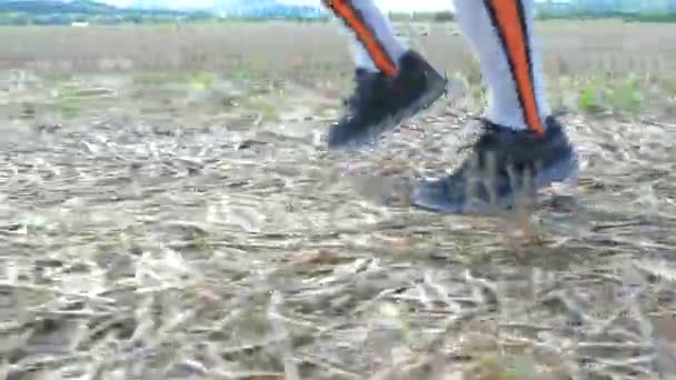 Vrouwelijke benen in mededogen lopende sokken. Vrouw in sportkleding die over het veld loopt. - Video