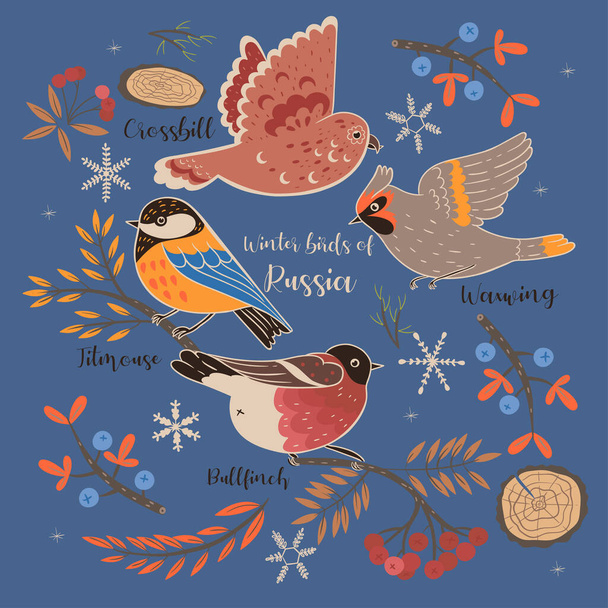 Set of winter birds of Russia with captions. Vector image - Vector, Image