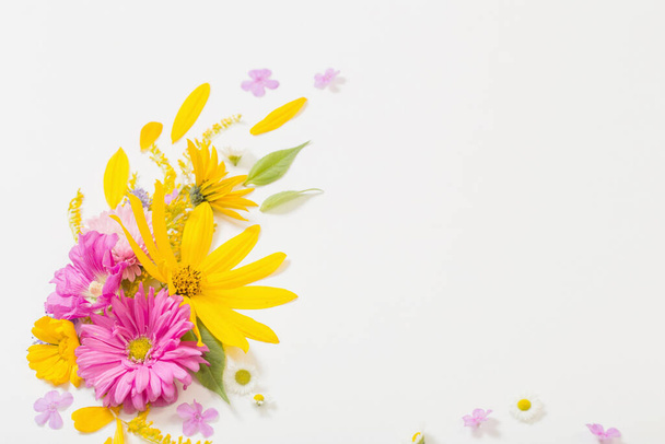 yellow and pink flowers on white background - Photo, image
