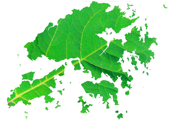 Karte von Hongkong in grüner Blattstruktur auf weißem, isoliertem Hintergrund. Ökologie, Klimakonzept, 3D-Illustration. - Foto, Bild