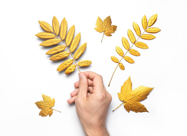 Mannelijke handen houden gouden herfstbladeren op witte achtergrond bovenaanzicht kopieerruimte. Herfst minimalistisch concept, herfst. Herfst achtergrond. Minimaal bloemdessin, Herfst compositie. Gouden twijg - Foto, afbeelding
