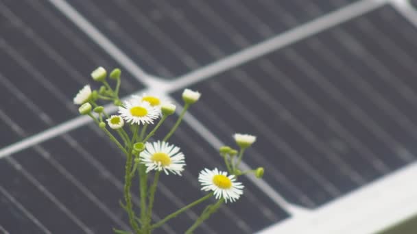 Aurinkopaneeliasema, joka on asennettu pellolle keräämään aurinkoenergiaa ja muuntamaan se sähköksi. Ympäristöystävällinen sähköenergia. - Materiaali, video