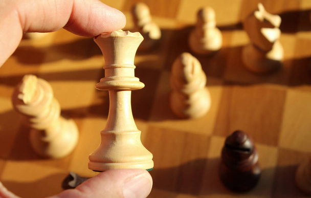 Παίξτε ένα παιχνίδι σκάκι, επιτραπέζιο παιχνίδι - Φωτογραφία, εικόνα