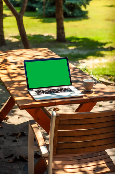 Näkymä kannettava tietokone, jossa on vihreä ruutu ja kahvimuki pöydällä puutarhassa kotitoimistossa tai kotona koulun ympäristössä aurinkoisena päivänä. - Valokuva, kuva