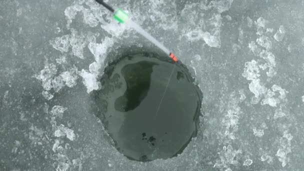 Foro di ghiaccio per la pesca sul ghiaccio del fiume in inverno
 - Filmati, video