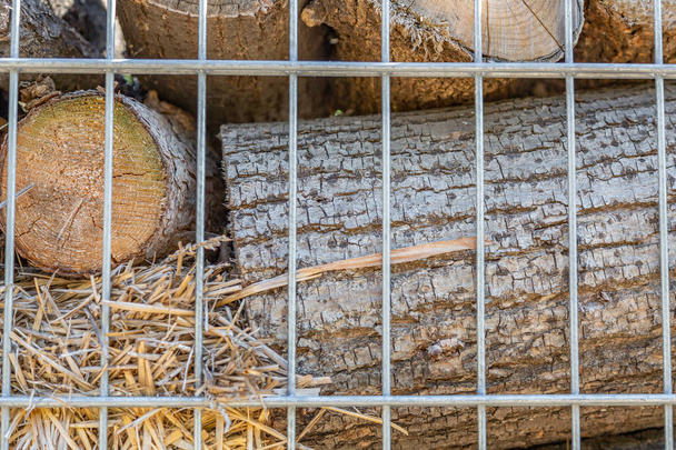 Un tronco de madera seca y paja para cocer y calentar se encuentra en el patio trasero - Foto, imagen