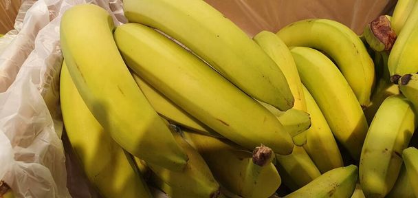 un montón de plátanos. plátano amarillo, verde y blanco, primer plano - Foto, imagen