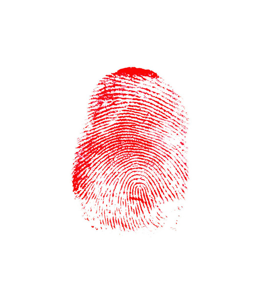 Huella digital del pulgar rojo sobre fondo blanco. Impresión del dedo. - Foto, imagen