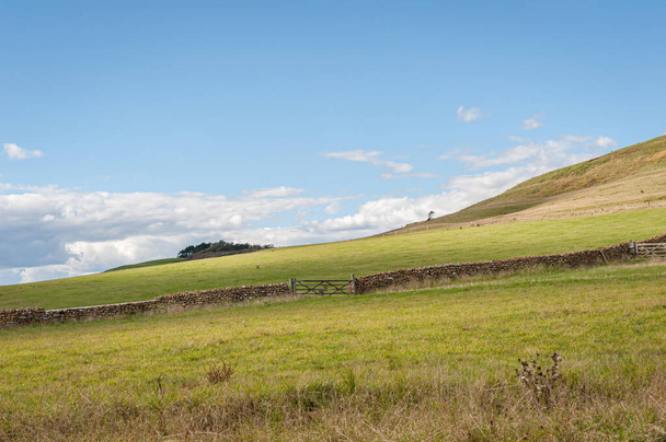 Collines avec une herbe verte luxuriante, champs et prairies contre ciel nuageux bleu. - Photo, image