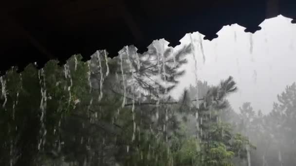 Lluvia torrencial en la galera fuera del jardn de una casa - Séquence, vidéo