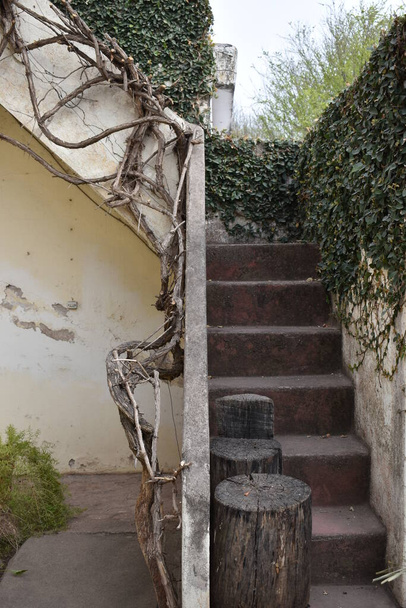 las escaleras de hormigón en el patio - Foto, imagen