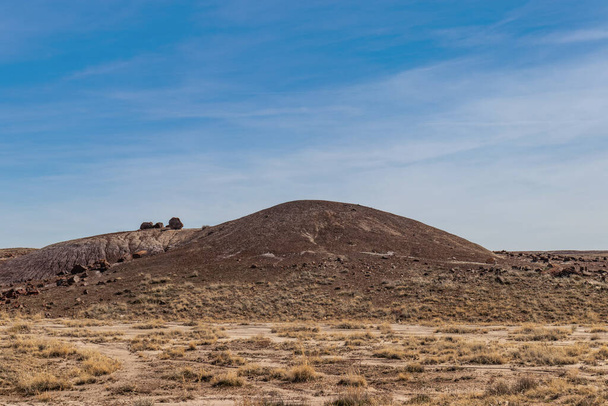 公園の周りに並ぶ特別な岩, Petrified National Forest, AZ, USA - 写真・画像