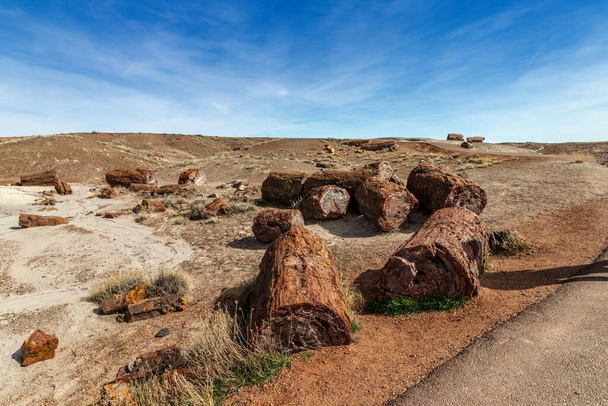 Πεδίο ειδικών βράχων, απολιθωμένο εθνικό δάσος, AZ, ΗΠΑ - Φωτογραφία, εικόνα