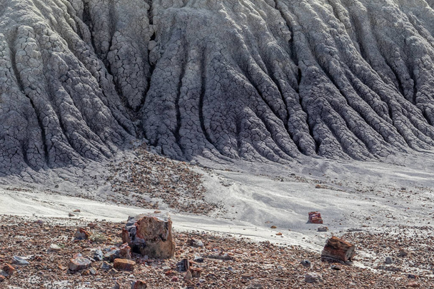 Петрифицированная древесина у подножия песчаника холма, который напоминает животное ногу - Petrified National Forrest, AZ, США - Фото, изображение