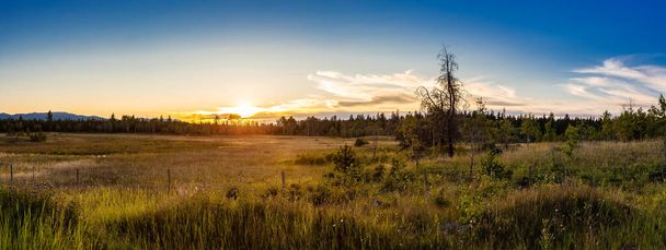 Panoramic View of a Beautiful Canadian Landscape during a Sunny Summer Sunset. - Фото, зображення