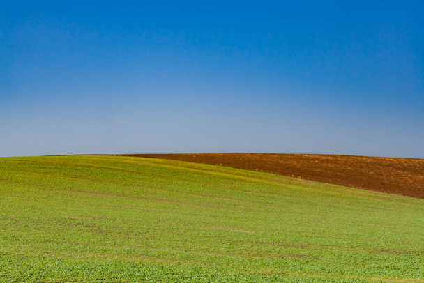 Campo de granja verde con campo de agricultura marrón, paisaje minimalista bajo cielo azul.  - Foto, imagen