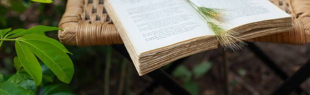 Цветы на открытой книге о старом плетеном стуле в саду, ретро-фильтре, природе и концепции медленной жизни - Фото, изображение