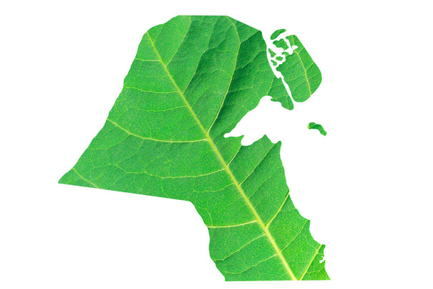 Mapa Kuwejtu w zielonej fakturze liści na białym, odizolowanym tle. Ekologia, koncepcja klimatu, ilustracja 3D. - Zdjęcie, obraz