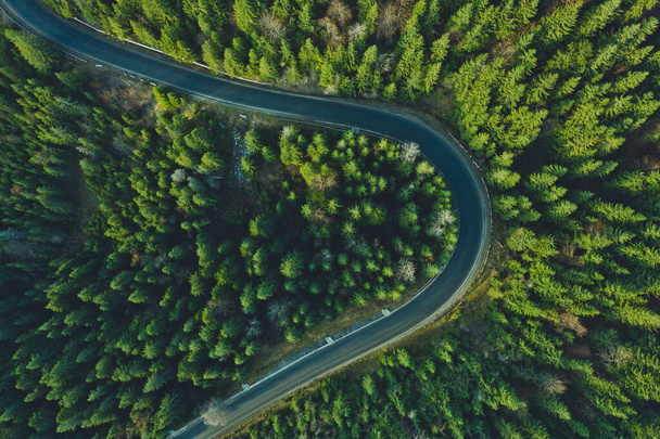 Zakřivená letecká cesta od dronu. Lesní asfaltová cesta v horách poblíž smrku a borovice - Fotografie, Obrázek