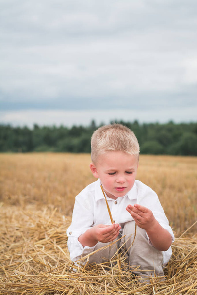 little boy in a wheat field, happy family concept - Fotoğraf, Görsel