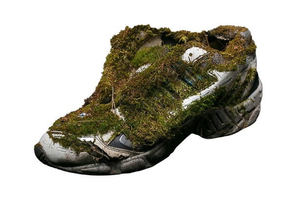 Старі кросівки, покриті мохом на білому тлі
. - Фото, зображення