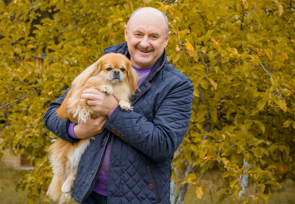 Emekli olmuş yaşlı bir adam, parkta gezintiye çıkmış kırmızı Pekin hayvanıyla köpek sever. Hayvanların sevgisini ve bakımını kavrayın. İyi insanlar evcil hayvanlara bakar. - Fotoğraf, Görsel