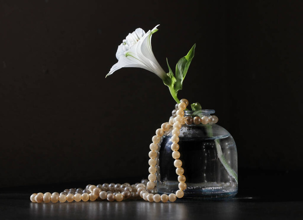 Retro style still life with Alstroemeria flower in the small vintage bottle and string of pearls  against a low key background with space for your text. Selective and soft focus.  - Fotoğraf, Görsel