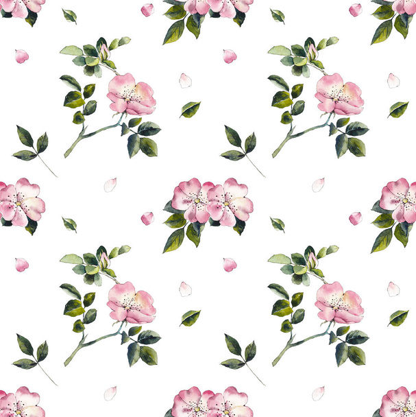 Flowers seamless. Pattern from pink dog rose. Wedding drawings. White background. Watercolor hand drawn illustration. - Foto, Imagem