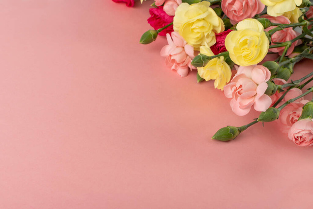 Świeży kwiat goździka bukiet na różowym tle widok z góry z miejsca na kopię. Żółte, różowe i czerwone kwiaty makiety dianthus lub schabaud - Zdjęcie, obraz