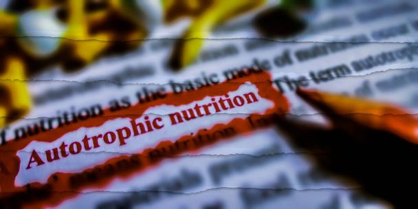 Autotrophic Nutrition word highlighted with closeup view on book word educational related terminology presented for students awareness. - Photo, image