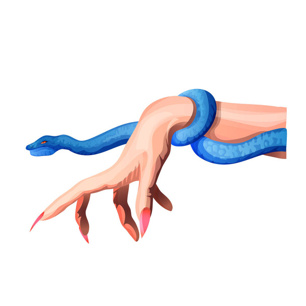 Mano femenina con uñas largas y una serpiente. Serpiente alrededor del brazo. Ilustración vectorial de dibujos animados aislada. Etiqueta engomada, símbolo, icono para su diseño. Fondo blanco. - Vector, imagen