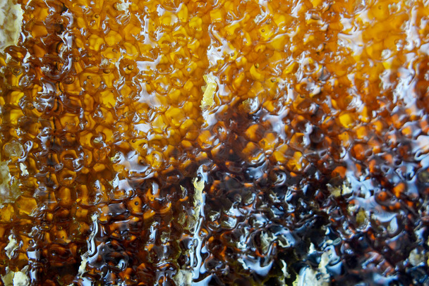 Goutte de miel d'abeille goutte à goutte des rayons hexagonaux remplis de nectar doré. Composition d'été nids d'abeilles composée de miel naturel goutte à goutte, goutte à goutte sur cadre en cire d'abeille. Goutte de miel d'abeille goutte à goutte dans les rayons de miel. - Photo, image
