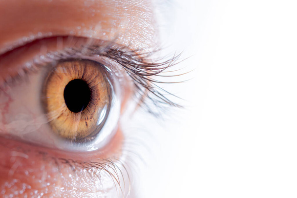 Detail van het oog in groene kleur. Ooggezondheidsconcept. - Foto, afbeelding