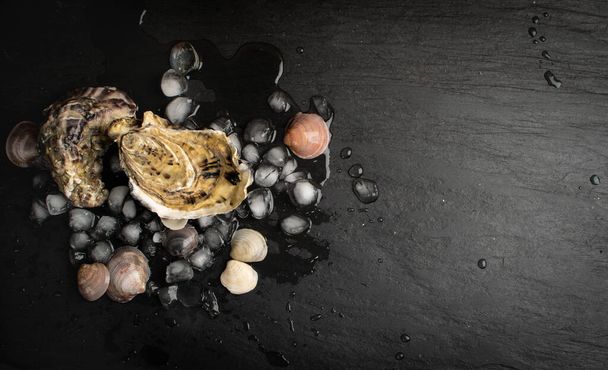 Fresh closed oysters on ice in seafood restaurant. Raw molluscs, shellfish or mussels on black background top view with copy space - Φωτογραφία, εικόνα