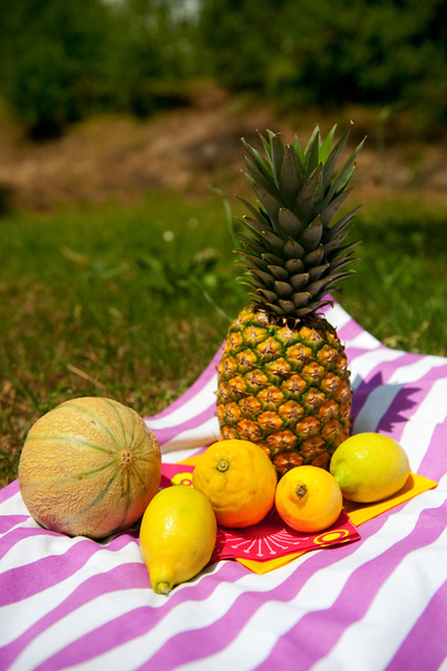 Still life with summer fruit - Фото, изображение