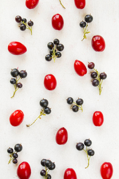 Currant, Cornus and dogberry close-up, food photography - 写真・画像
