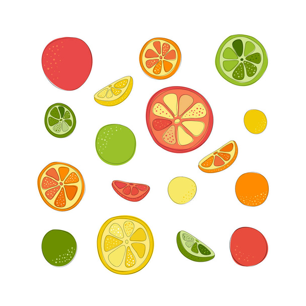 Set of hand drawn vector citrus fruits, lemon, orange, lime, pomelo and grapefruit light background. The sketch is illustrated. Isolated whole fruits and slices. Hand drawing and flat. - Vector, Imagen