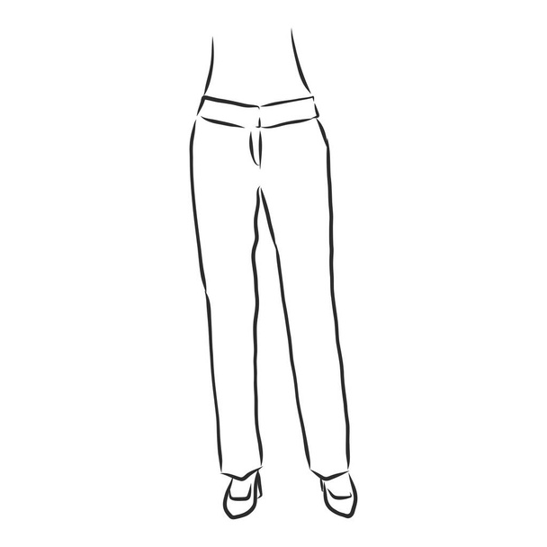 technical sketch of trousers, classic trousers, vector sketch - Vector, Image